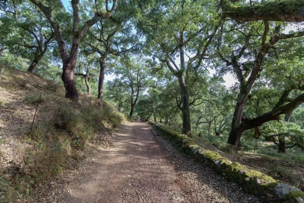 Finca Montemateo Navahermosa  別荘 Navahermosa (Huelva)